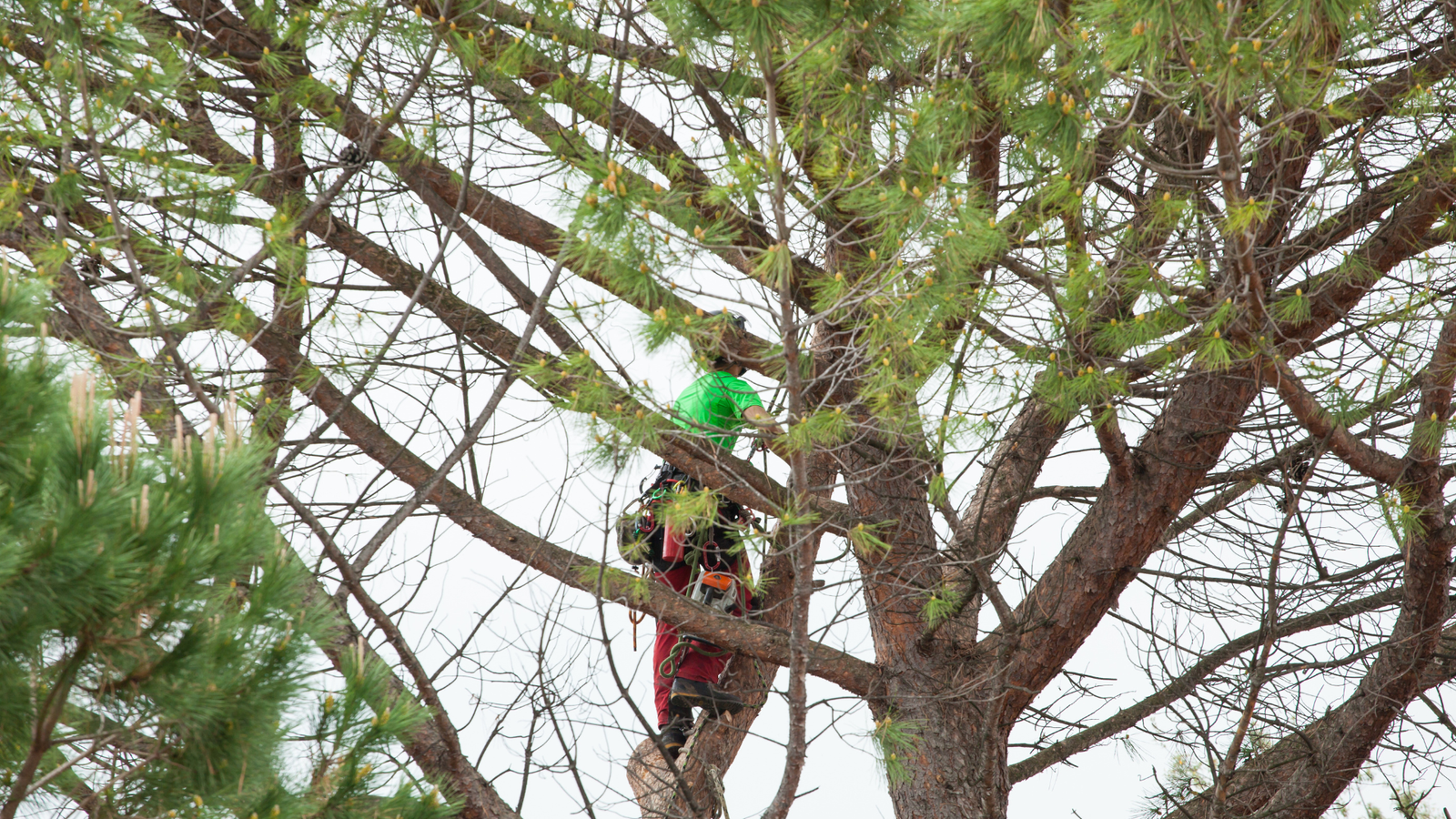 stephane elagage accueil